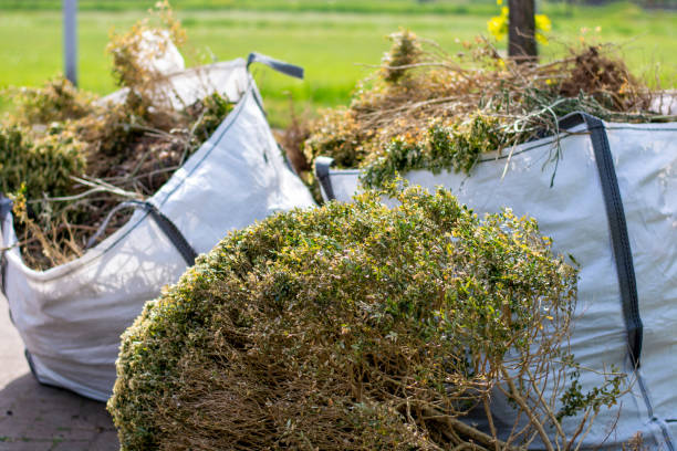 Best Commercial Cleanout Services  in Cannon Beach, OR